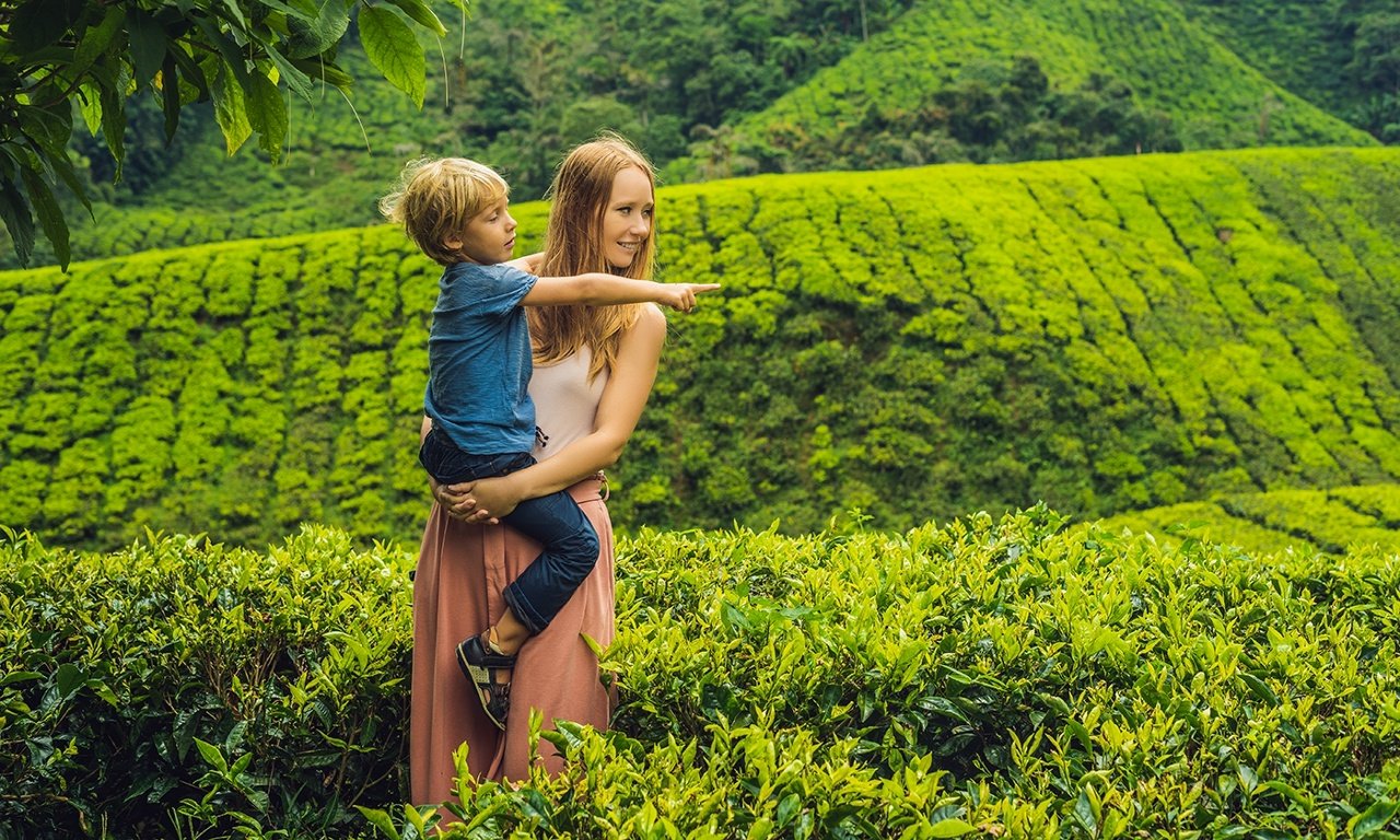 Водопады Шри-Ланки